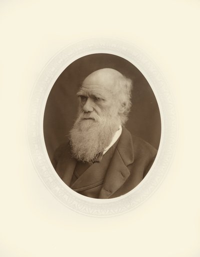 Charles Robert Darwin da Lock and Whitfield
